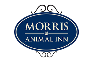 Morris Animal Inn
